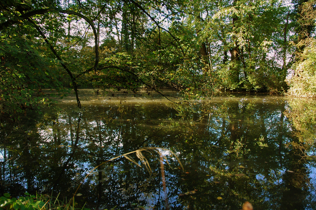 DSC_0079.png