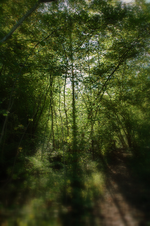 DSC_0080.png