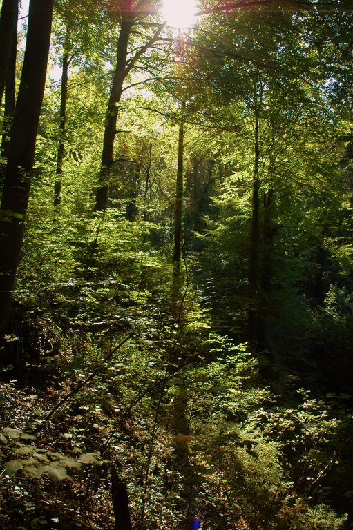 DSC_0093.png