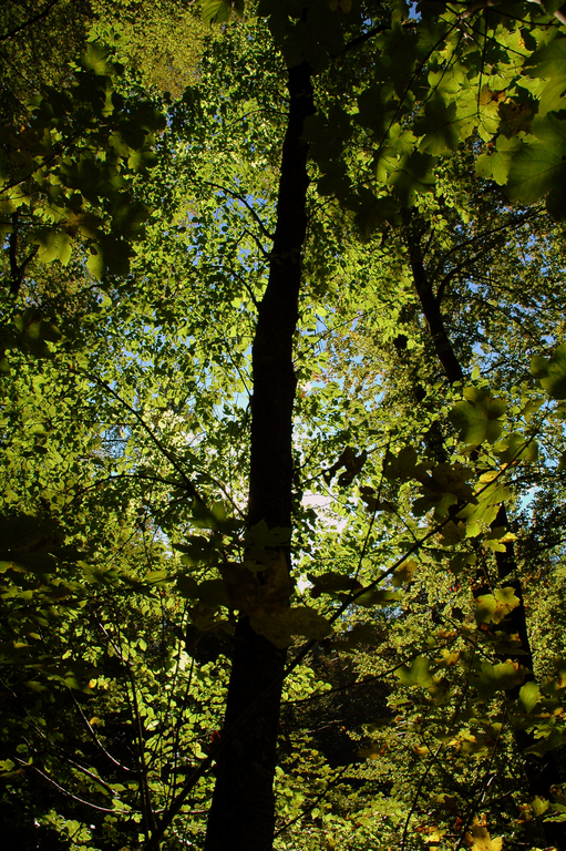 DSC_0097.png