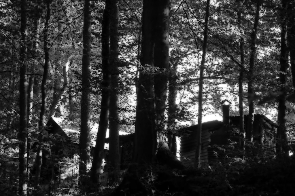 DSC_0104.png