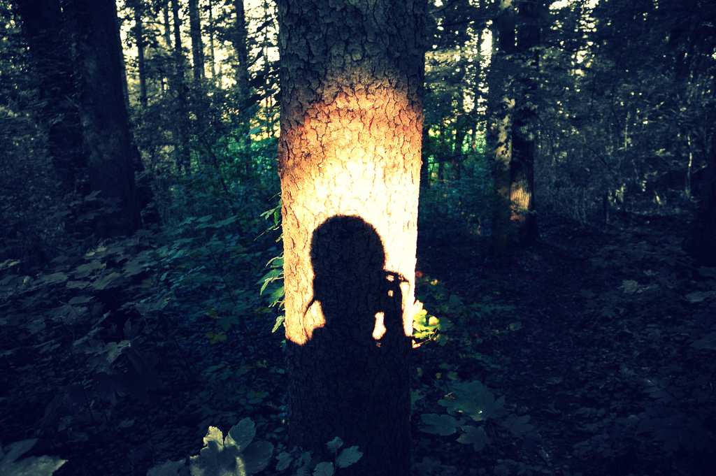 DSC_0105.png