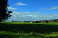 DSC_0078.JPG