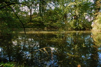 DSC_0079.JPG