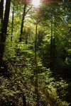 DSC_0093.JPG
