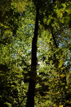 DSC_0097.JPG