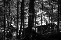 DSC_0104.JPG