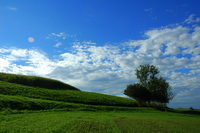 DSC_0121.JPG